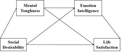 How social desirability impacts life satisfaction among Chinese youth: mediators of mental toughness and emotional intelligence